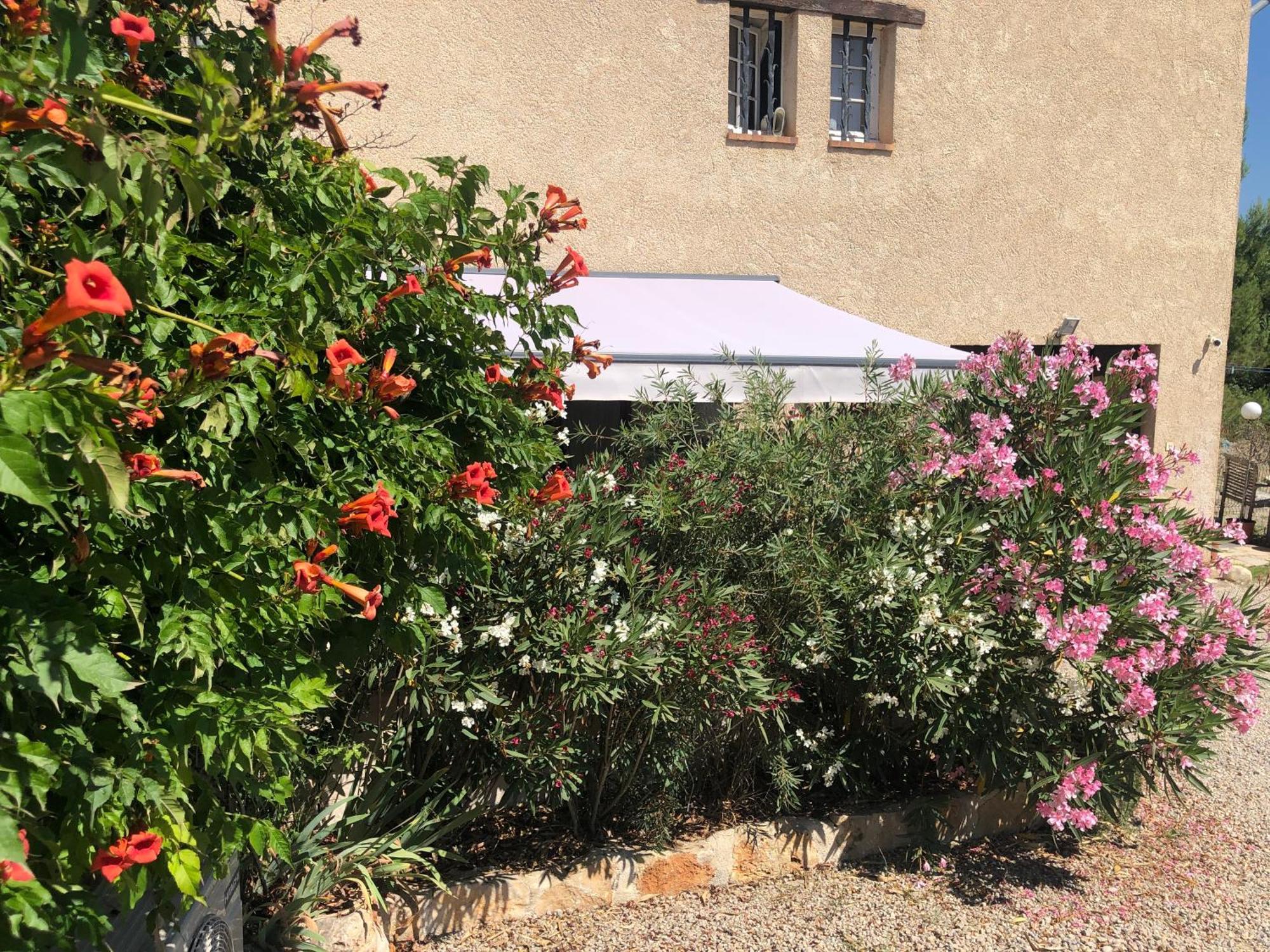 法扬斯Le Cocon De Provence公寓 外观 照片